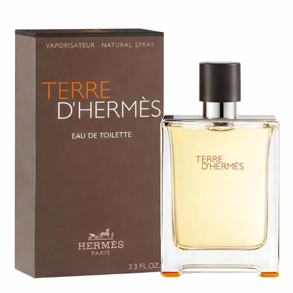 100ml Hermès - Terre D'hermès - Eau de Toilette pour homme