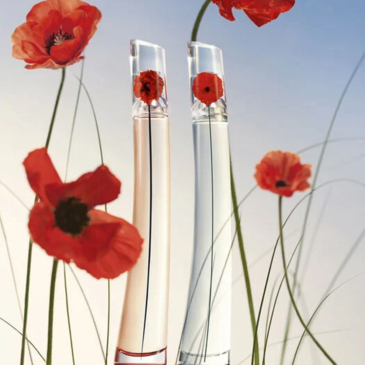 50 ml  sans boîtes Kenzo - Flower By Kenzo - Eau de Parfum pour femme