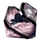 Lancôme - la Noche Trésor - Eau de Parfum para Mujer