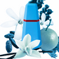 50 ml Cacharel - Loulou - Eau de Parfum pour femme