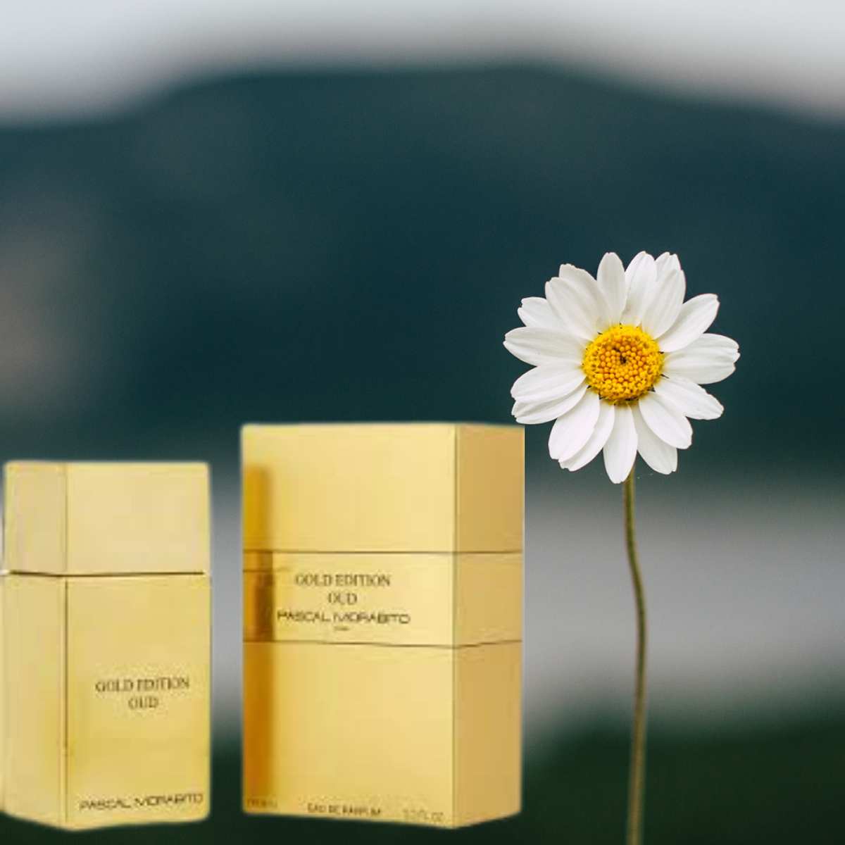 100 ml Pascal Morabito - Gold Edition Oud - Eau de Toilette pour homme
