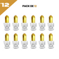 12*5ml el Nabil - Musc Fruity - Parfum Concentrado Sans Alcool