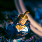 Lolita Lempicka - Le Parfum - Eau de Parfum para Mujer