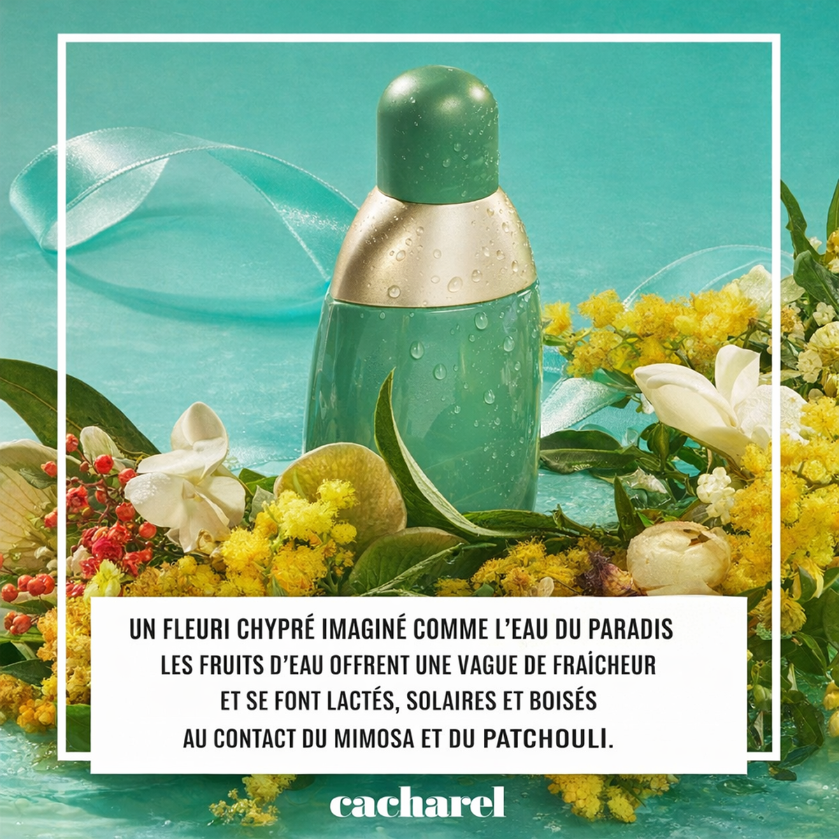 Cacharel - Eden - Eau de Parfum para Mujer