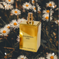100 ml Pascal Morabito - Gold Edition Oud - Eau de Toilette pour homme