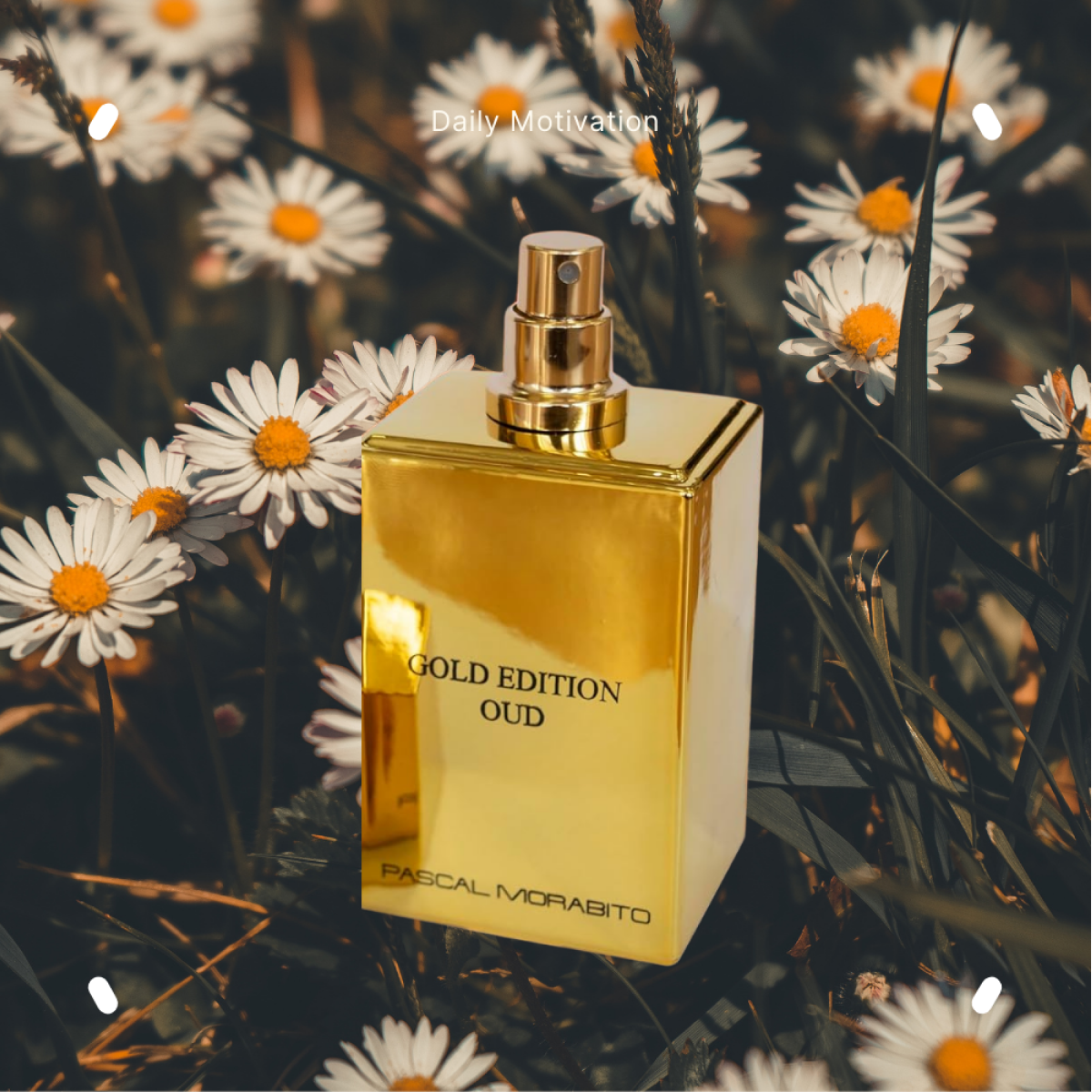 100 ml Pascal Morabito - Gold Edition Oud - Eau de Toilette pour homme