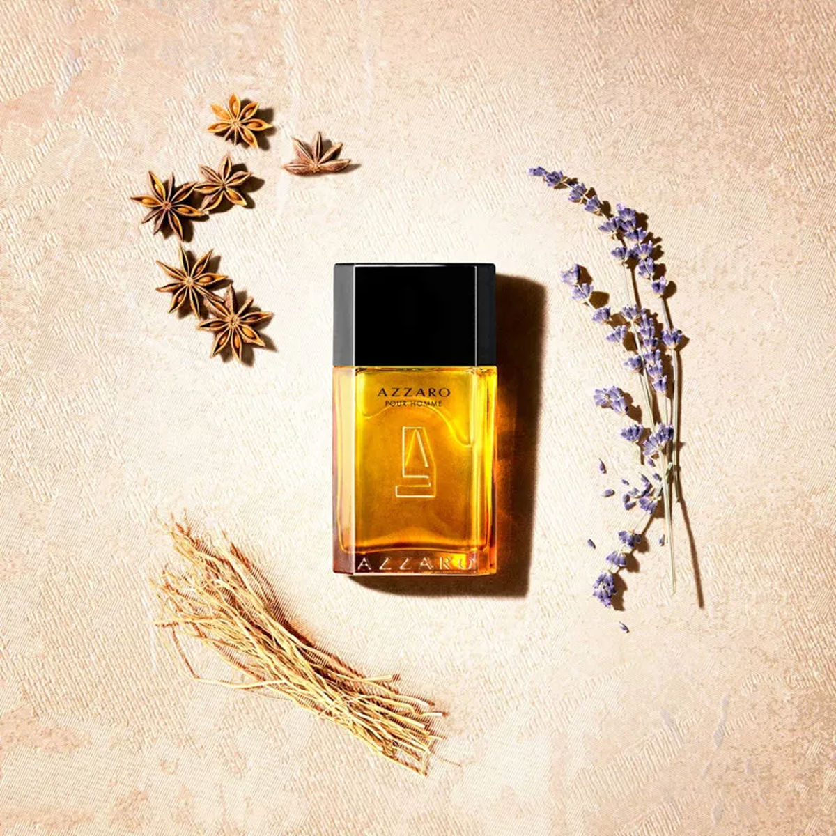 Azzaro - Azzaro para Hombre - Eau de Toilette para Hombre