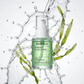 Biodance - Refreshing - Sea Kelp Serum