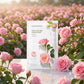 Nature Republic -  Real Nature Mask Sheet/Rose