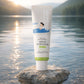 Round Lab -  Moisture Mild-Up Suncreen