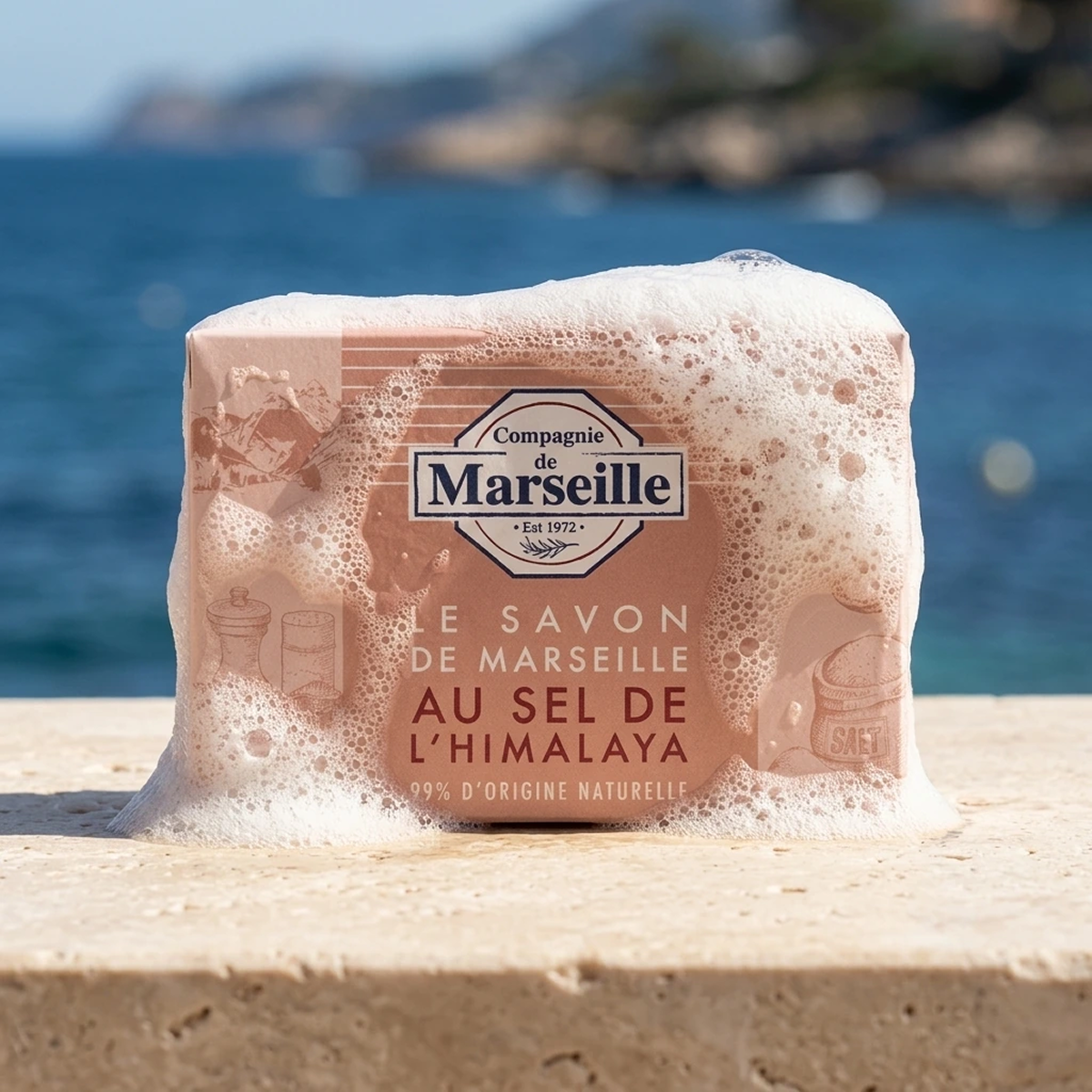 Compagnie de Marseille - Sel D'Himalaya - Savon de Marseille 99% d'Origine Naturelle
